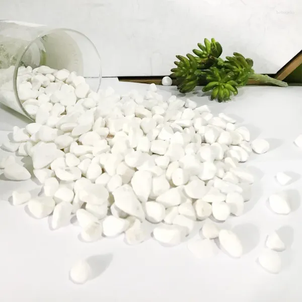 Flores decorativas Ceramsite de pedra branca é preenchida com a cama de água cultivada em pequenas pedras e losas cheias