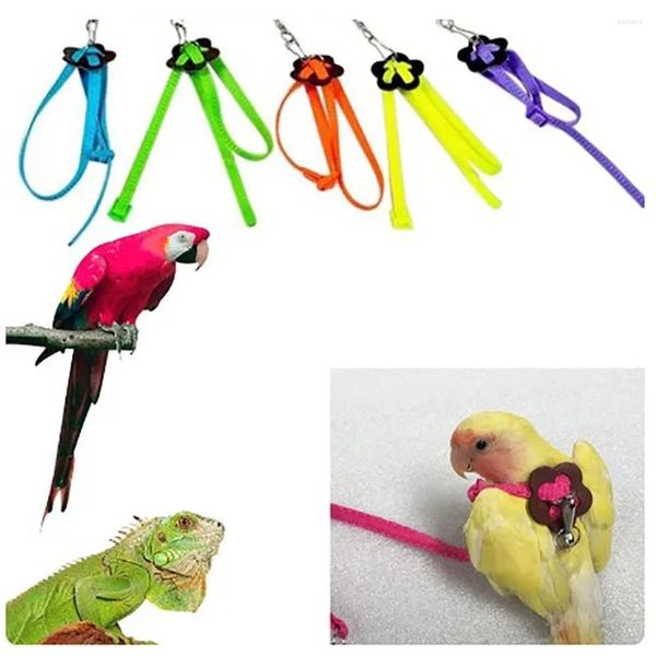 Altre forniture per uccelli Anti Wear Imbraio per pappagallo comodo Nylon Soft Lizard Traction Rope Bite di rimorchio Flight Flight Ropes
