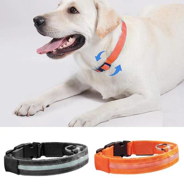 Colarinhos de cães de gola iluminada Gollar Recarregável LED piscando iluminados para cachorros cães e animais de estimação