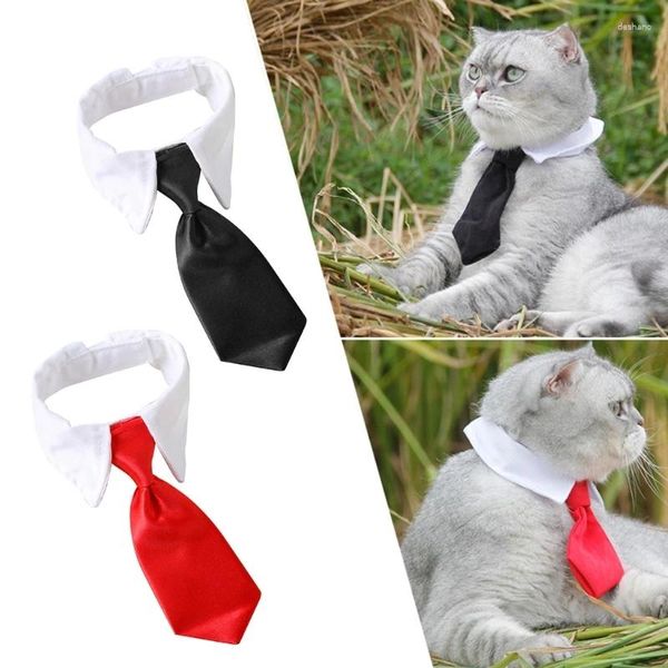 Cravatta da gatto per cani da gatto a controllo cucciolo cucciolo cucciolo collana cravatta cravatta kxre