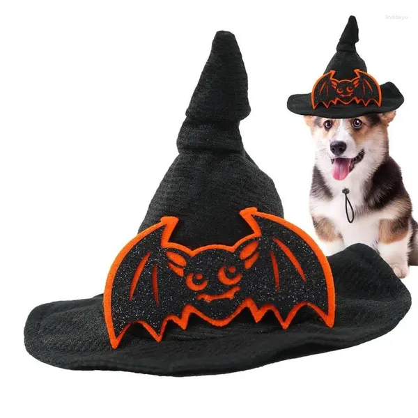 Abbigliamento per cani Catch Costume Ricevuto Cappello da zucca spettrale con design del pipistrello non capannoni per Halloween