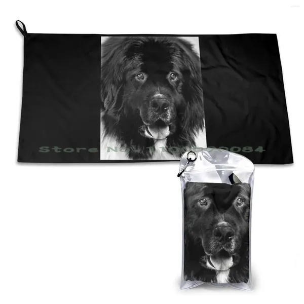 Портрет собаки на основе полотенец в черно -белом быстрох сухой спортивной спорт