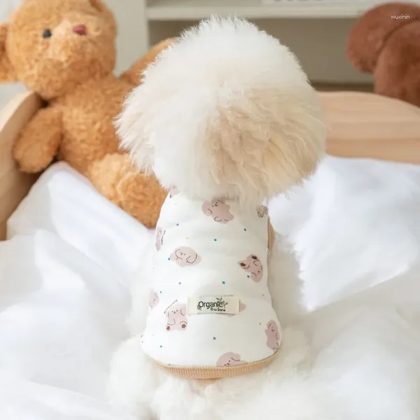 CARACO DE APARELA DOG PUNCT FULL PRIMET POPTY SPRING AND SUMMER FORMA PLOMA DE TEDDY PULLOVER DE TEDDY CONFORMA CASA CONFEITA