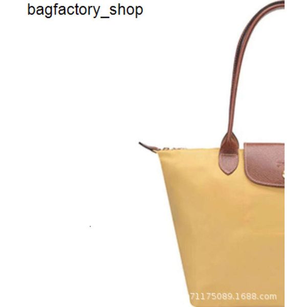 Sacchetta di borsetta di lusso Bullo a tracolla Borsa da ginnastica borse Nylon Borsa portatile Pollenzio Borsa pieghevole Borsa da tote borse ricamato Shopping Shopping Bagtbsd