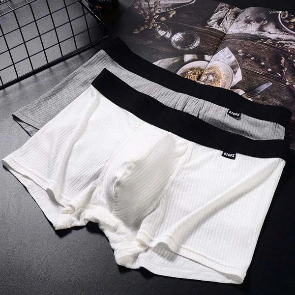 Underpants sexy Boxer Shorts Männer Modal Boxer Unterwäsche Bulge Penis Beutel Mann Panties Trunks Hombre Boxershorts