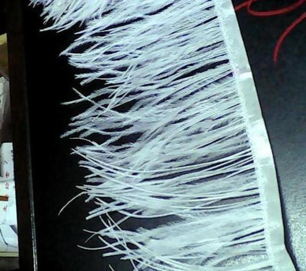 10 yardslot White Strich Feather Tranming Fringe 1013 cm in larghezza per abiti da sposa2673695