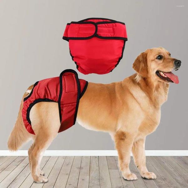 Abbigliamento per cani Fine Workmanship Accessori per pannolini da pannolino per le perdite per le perdite per le perdite