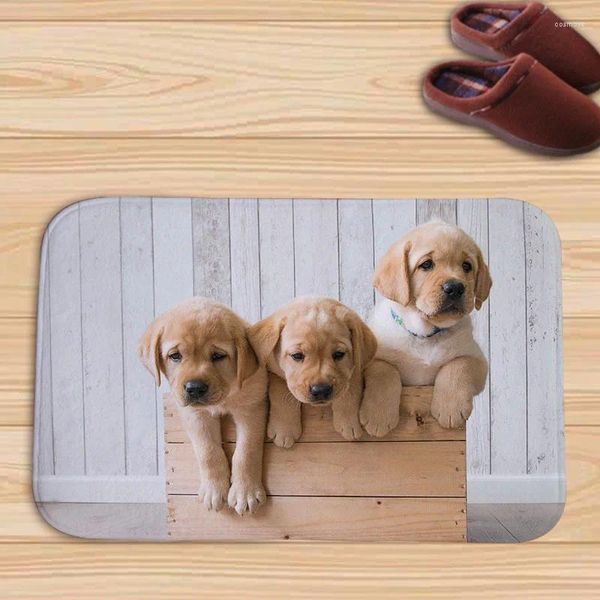 Teppiche schöne tierische Fußmatte Nicht-Rutsch Superweiche Flanell 40x60 cm Teppich Dekor süße Drei-Hunde-Boden-Türmatte für Badezimmer