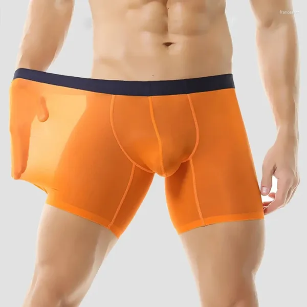 Underpants Sexy Mens Underwear Silk ghiaccio Ultra-sottile boxer a gamba lunga Shorts Bulge Bulge Bulge All allungando i leggings pantaloni corti