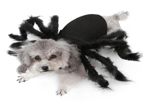 Halloween per cognome per cani da cagnolina peluche che si veste per cani di piccola taglia gatti cosplay costume da cucciolo divertenti per chihuahua Yorkie 20121768010