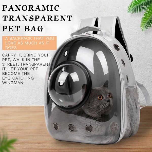 Katzenträger transparente Tasche tragbarer Raum aus atmungsaktivem Rucksack Pet Accessoires Artikel Gatos Kit aus