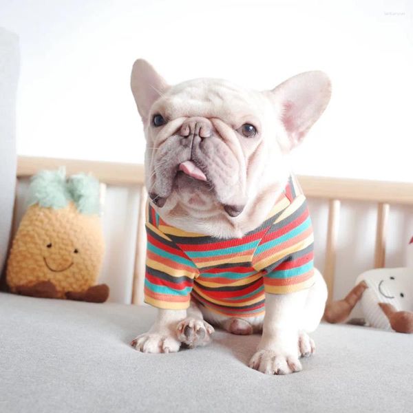 Vestuário para cães casaco de camisa quente e roupas pequenas roupas de caldeira camisa base de gola alta colarinho de cachorro