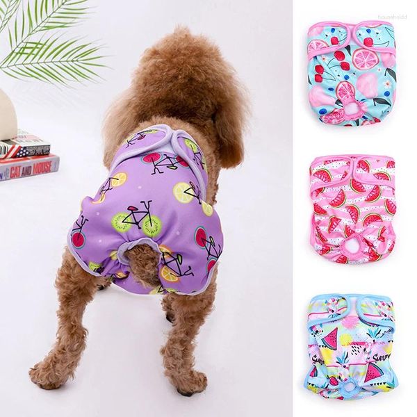 Abbigliamento per cani mutandine femminile con stampa fumetto pannolini fisiologici pantaloncini da cucciolo igienico