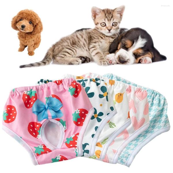 Pannolini di abbigliamento per cani pantalone fisiologico cucciolo di mutandine pantaloncini biancheria bianche da gatto da gatto da donna da donna lavabile