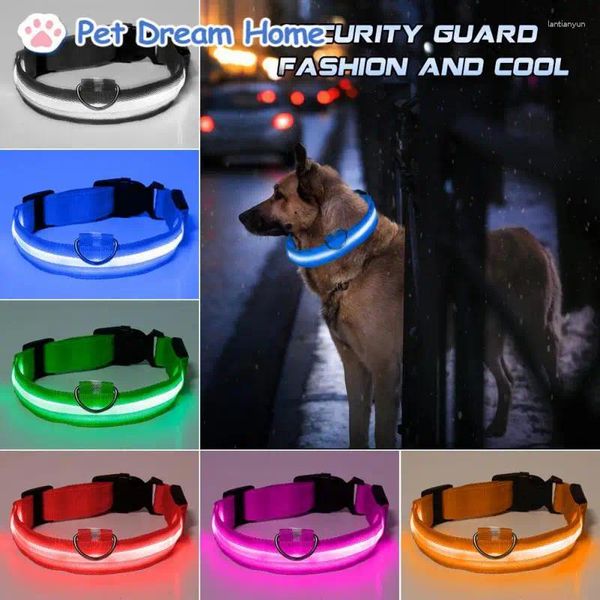 Collari per cani LED LED GLOWING BATTERE IN ATTRADO IN AIGLIORE LUMINOSO NOTTE REGOLABILE DI SICUREZZA DI SICUREZZA DI SICUREZZA DI SICURICA