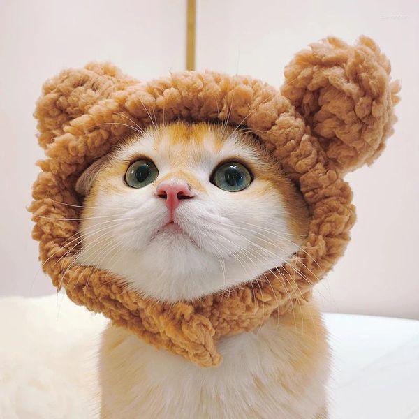 Capéu de petdy de petdy urso de petdy tampa de pelúcia capa curta gato pequeno gato pequeno po chapwearwares acessórios de fantasia chapéus