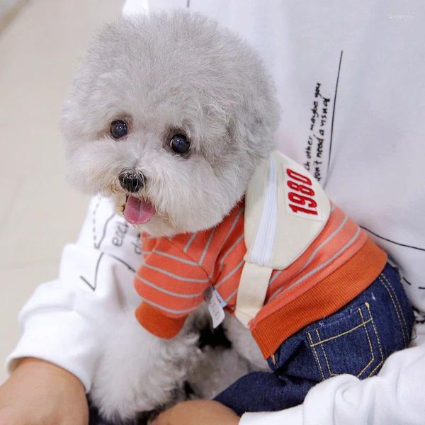 Giacca di neve dell'abbigliamento per cani per cani di piccola taglia in vendita tuta tasca a strisce cuccioli con animalette di denim giù per la tuta Chihuahua Yorkshire