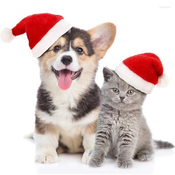 Собачья одежда 50 шт. Pet Santa Hat Christmas Cat Winter Plush Plush Cap Decer Decor милый косплей костюм оптом x2