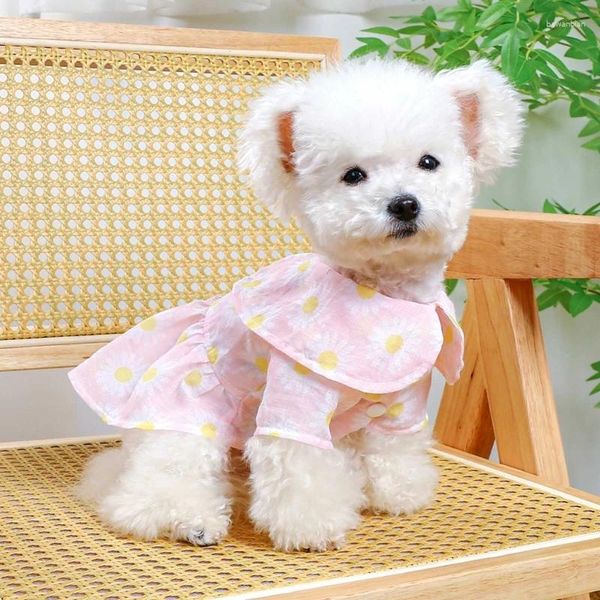 Vestuário de roupas para cães roupas de roupa de menina peter pan-colar abacaxi princesa vestido primavera no verão para filhotes e gatos