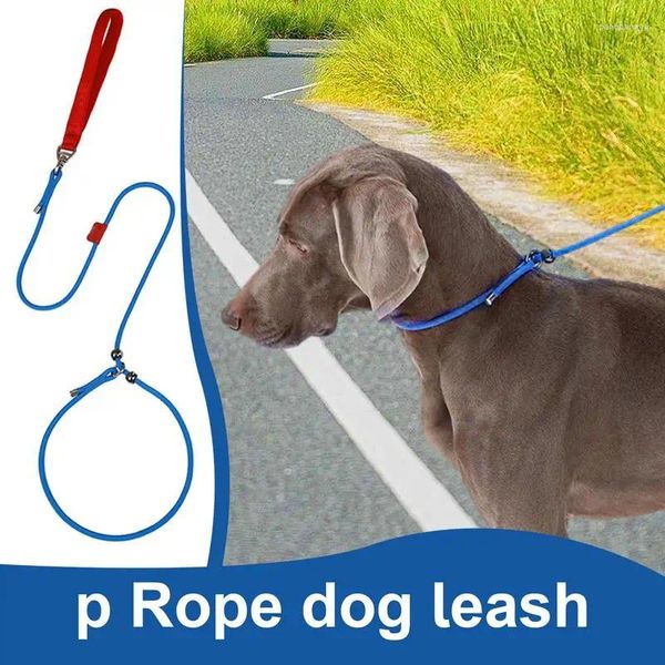 Hundekragen Nylon Walking Le-Aash Pet Traction Seil Leads Double Limit Design Outdoor-Trainingswerkzeug für kleine mittelgroße und große Hunde