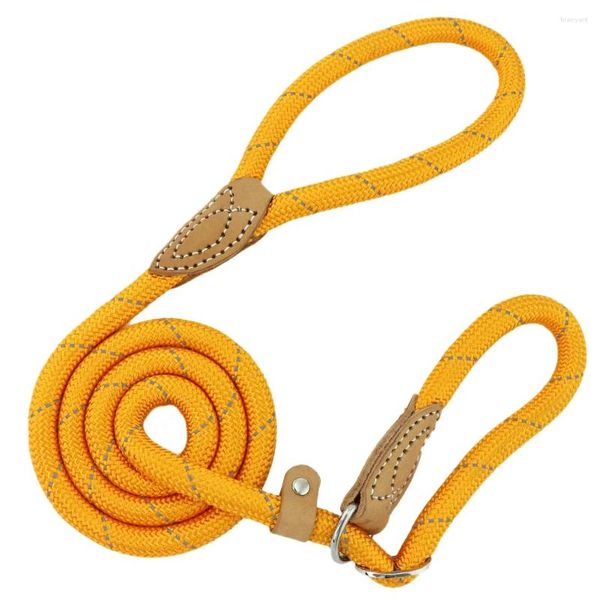 Collari per cani da 150 cm ad addestramento al guinzaglio Slip Piet Nylon Rope Cingcio di trazione regolabile Collaro di trazione Small Medium Lange Walking Canno