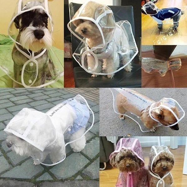 Abbigliamento per cani L'impermeabile trasparente impermeabile e alla moda per animali domestici a due zampe di piccole dimensioni