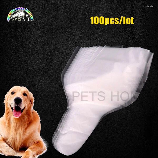 Dog Apparel 100pcs Semen Bag Pet Pet Artificial Devemination Device Device Coleção de espermatozóides descartáveis por atacado