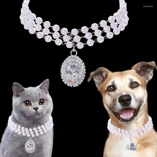 Hundekleidung Super Flash Dan-förmige Zirkonia-Haustierversorgungen und Katzenketten-Strass-Perlenschmuck hochwertiger Kragen einstellbar