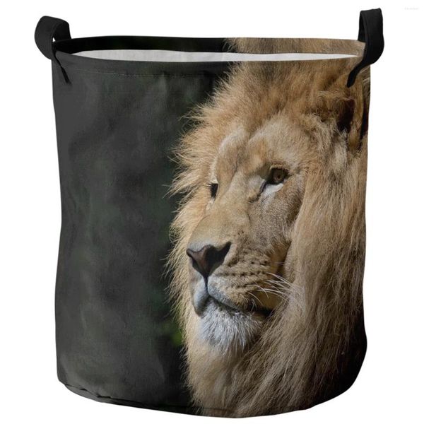 Borse per lavanderia African Wild Animals Lion Dirty Basket Organizzatore domestico pieghevole abbigliamento per la casa per bambini