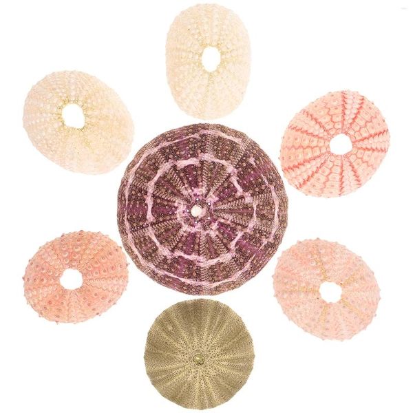 Dekorative Platten 7 Stcs Seeigelschalen -Ornamente Lufthalter Der Mittelmeer dekoriert Töpfe Sukkulente Displaybehälter Pflanzer