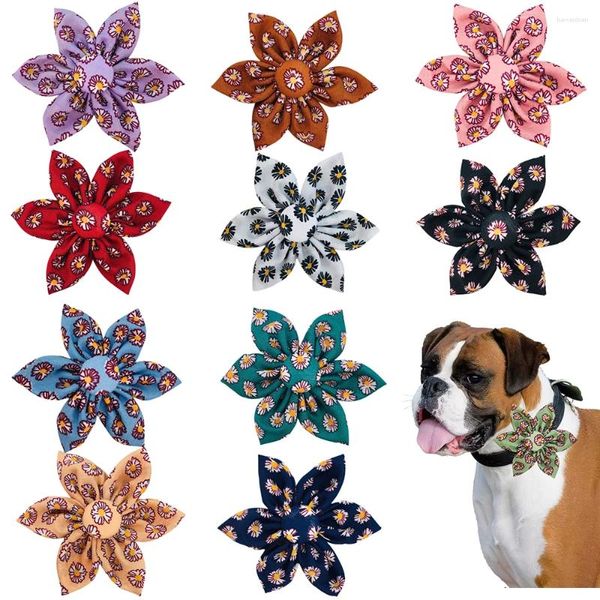 Abbigliamento per cani 50pcs Mix Color Slide Bowtie Flower Collar Accessori per papilla