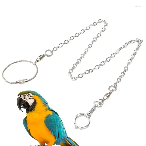 Altre forniture per uccelli a footle in acciaio inossidabile pappagallo pappagallo con corda di piombo addestramento anello anklet anello