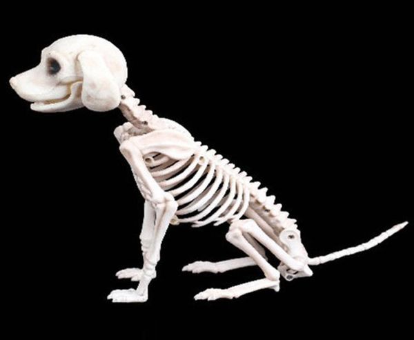 Halloween Skeleton Dog Propor Os ossos da festa da parte decoração do crânio de terror adereços Y2010061929479