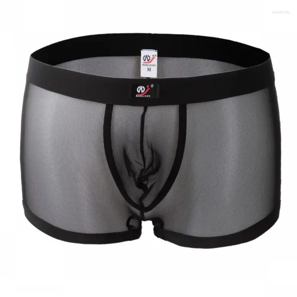 Le mutande vedono attraverso la biancheria intima uomini mutandine in pizzo maschi boxer pantaloncini mesh trasparente gay matto simpatico sissy divertente