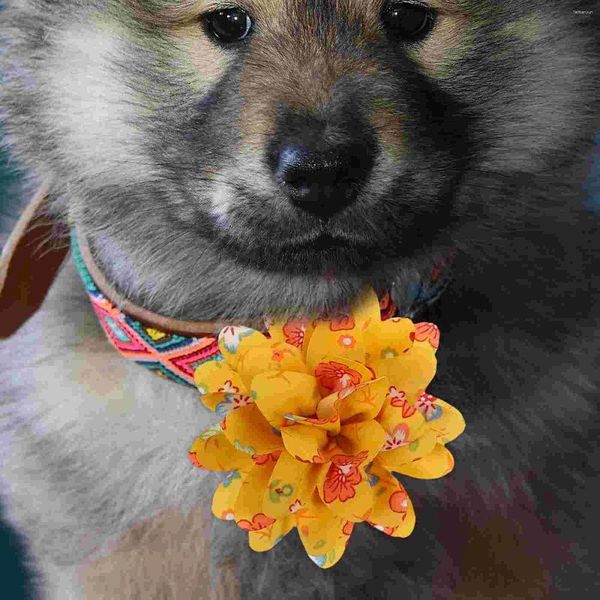 Abbigliamento per cani Collaggio per pata Pieto Accessorio per gatto Flower Design Flowers Ornament Supplies Floral Jewelry
