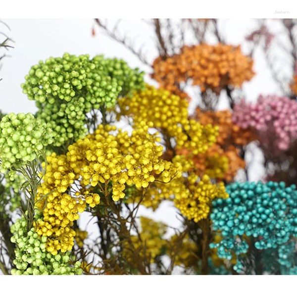 Dekoratif Çiçekler 50g atal darı meyve kurutulmuş çiçek Düğün Dekorasyon Gelin Buket Tatil Hediyeleri Pampas Çim