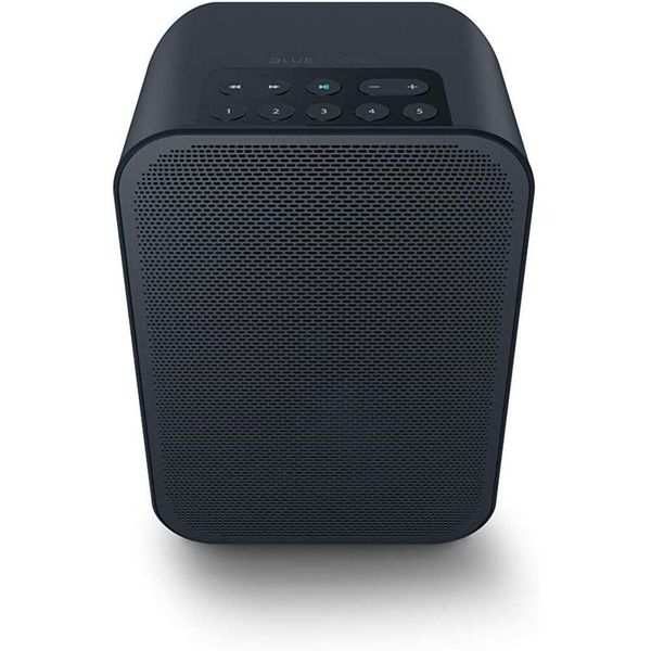 Bluesound Pulse Flex 2i Portable Wireless Smart Smart Dinger in Black - Alexa Siri Совместим, многокомнатные функциональность, Bluetooth -подключение - превосходное качество звука