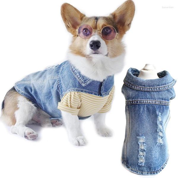 Hundekleidung stilvolle Denimweste Spring Jeans Jacke Verstellbare Angstkleidung für große Hunde Labradors Dachshund Pitbull XS-3XL
