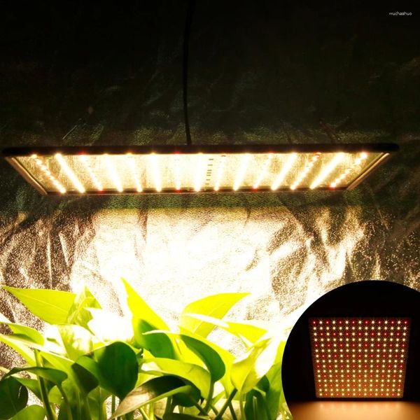 Grow Lights Full Spectrum LED LUZ 1000W Painel de lâmpada de suspensão para plantas internas da tenda de tenda hidropônica de suculentas de flores hidropônicas