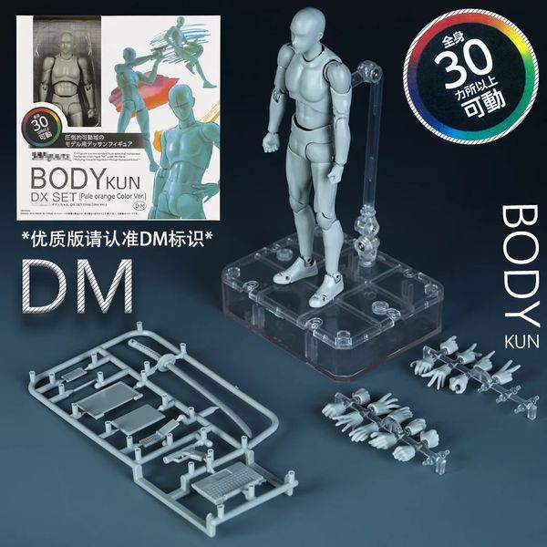 Esboço desenhe masculino corpo móvel corporal kun corpo chan dor de dor anime figura shf ação figura modelo de brinquedo desenho de manequim 240513