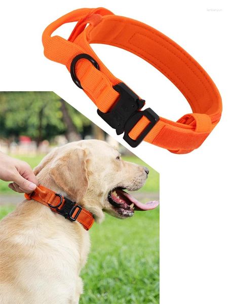 Colarinho de cachorro colar de laranja com alça de metal fivela militar e coleira ajustável para cães grandes