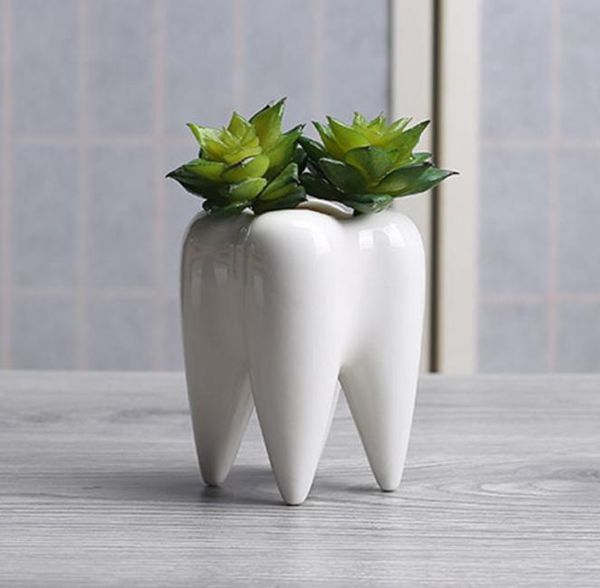Zähne Form Keramik Topf Sukkulente Pflanzer Mini Weiß niedlicher Gartenblumendekoration Innenräume Büro Schreibtisch Dekor5364087