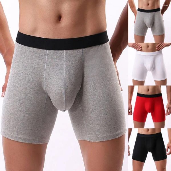 Underpants 2024 Herren Boxer Cotton Swimwear Beachwear Solid Long Bein atmungsaktives Sportboxer Briefs Knickers Boyshort