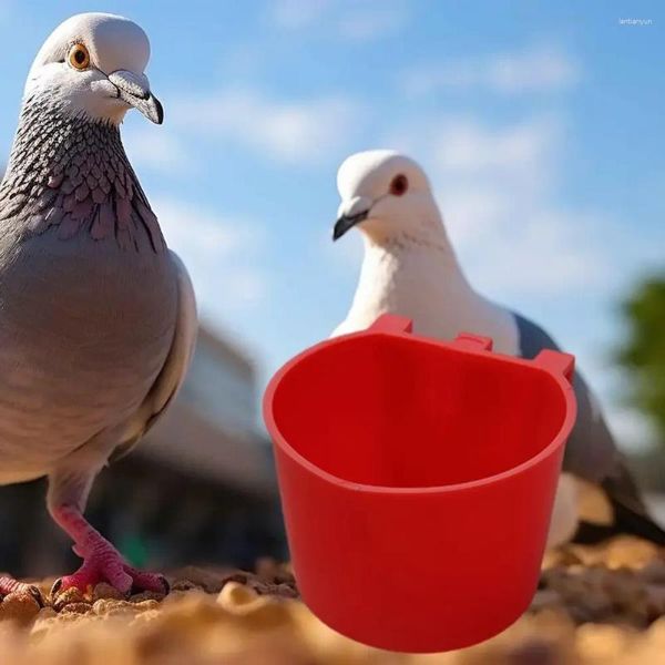 Другая птица поставляет пластиковую чашку для кормления клетки Три подвесные крючки миски для кормления курицы куриные голубы