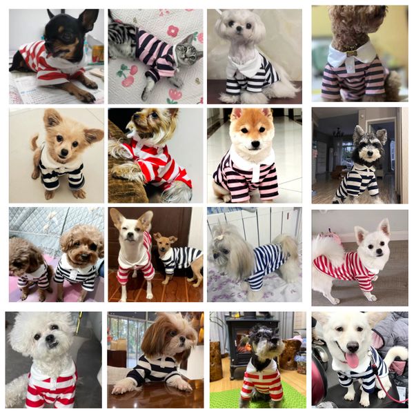 Vestuário para cães de marca por atacado Designer clássico Summer pólo camisa de cachorro Roupas de cachorro bichon frise chihuahua stripe coletor de resfriamento para cães pequenos e médios