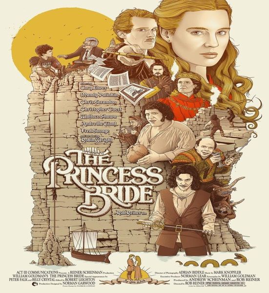 The Princess Bride Movie Digital Art Silk Print Poster 24x36inch60x90cm 0189592873