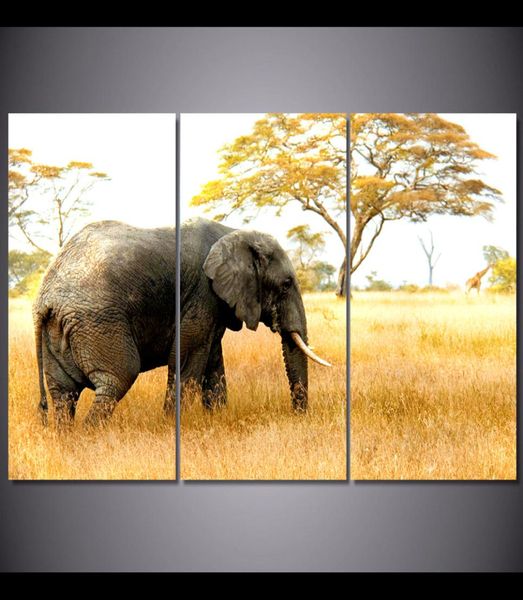 3 панель африканских пастбищных слонов стены на стену холст картины для гостиной домашней декор плакат Принт картинка Cuadros Decorativos7777128
