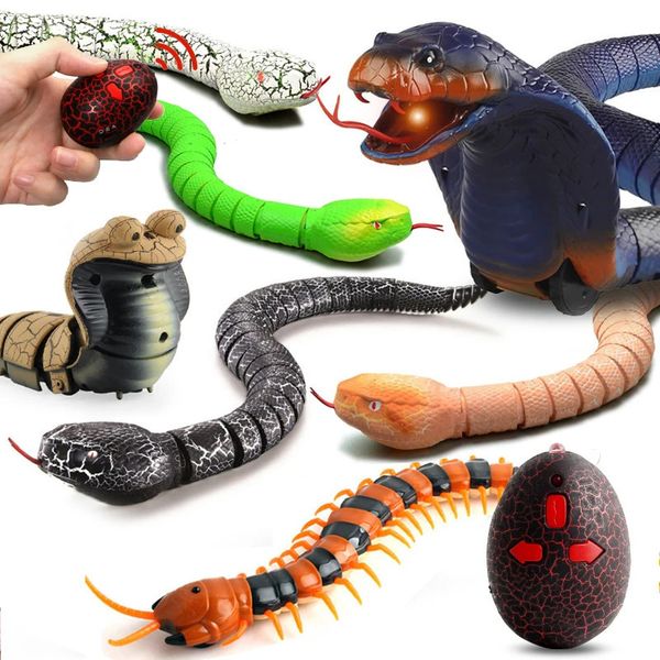 RC Snake Robots Toys for Kids Boys Children Girl 5 6 7 8 -летний подарок с дистанционным управлением животные моделирование розыгрыш Электрическая кобра 240506