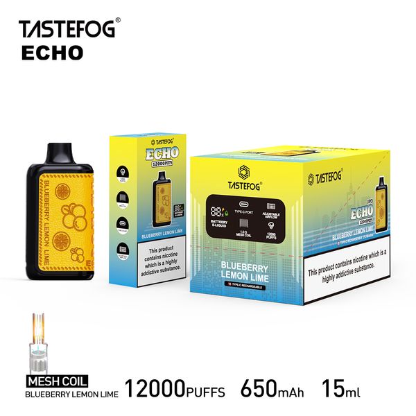 Tastefog Echo 12K Puff Vape Вейп.