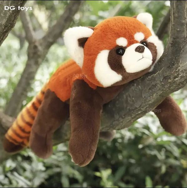 Animali peluche di peluche ripieni di panda rossa animali ripolidi pelcoon giocattolo peluche simpatico giocattolo peluche giocattolo per bambini compleanno ragazzi regalo di Natale d240520